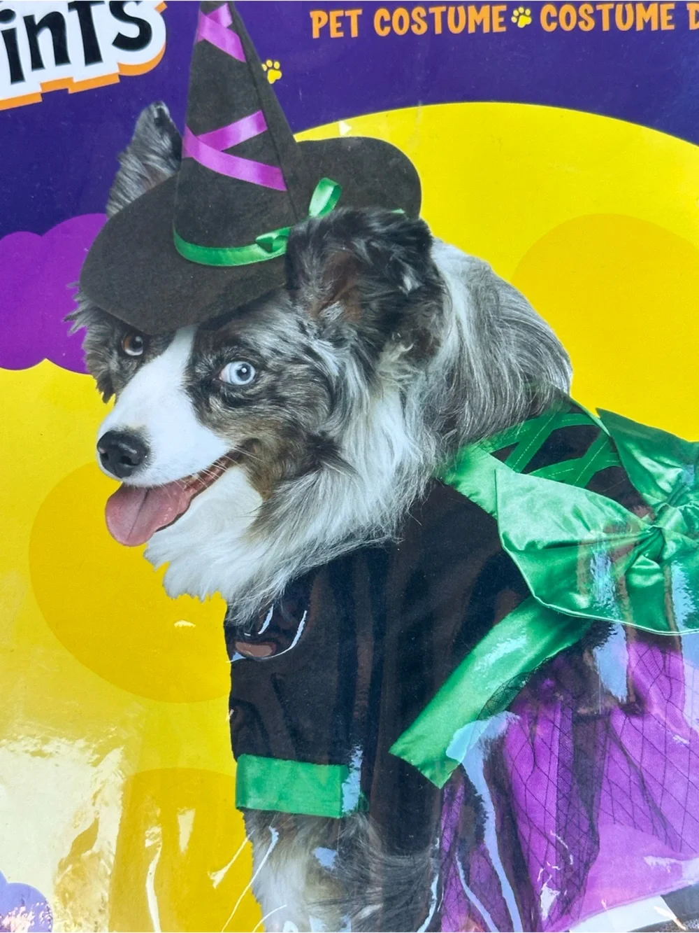 Paw Prints Fun World Doggie Witch Pet Costume Purple Green Dress Hat Size Small
